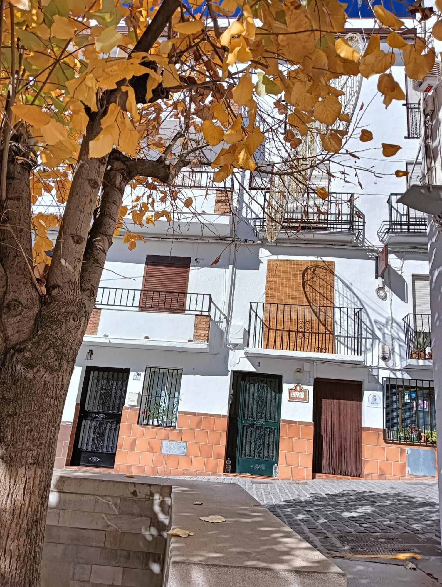 La Casa De La Plaza Daire Guejar Sierra Dış mekan fotoğraf